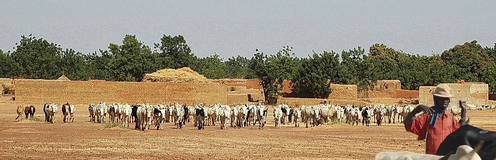 Hirte in Malis Steppe