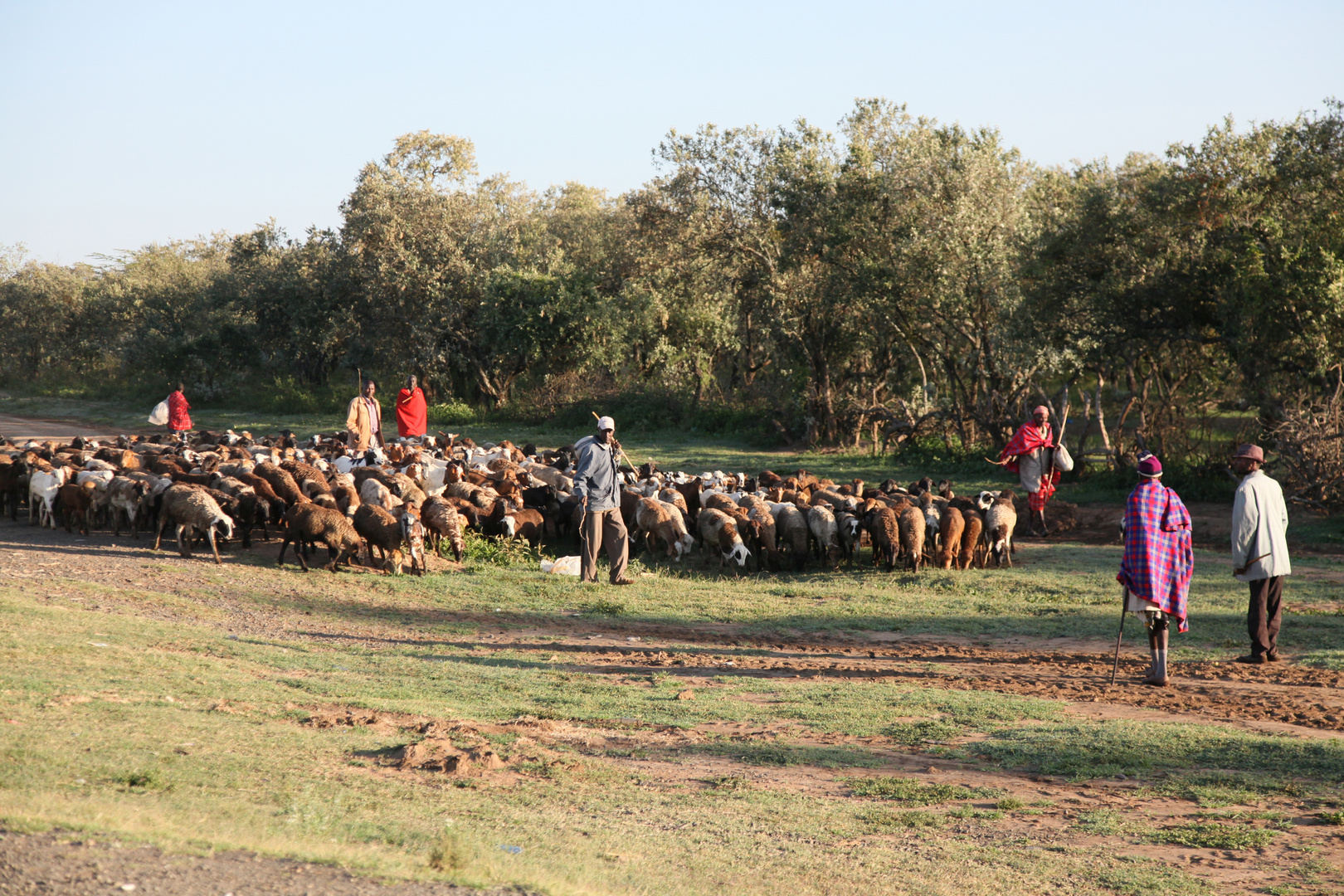 Hirten Foto & Bild africa, eastern africa, kenya Bilder auf