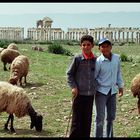 Hirtenjungs bei Apamea