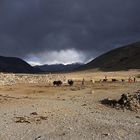 Hirtensiedlung im Pamir, Tadschikistan