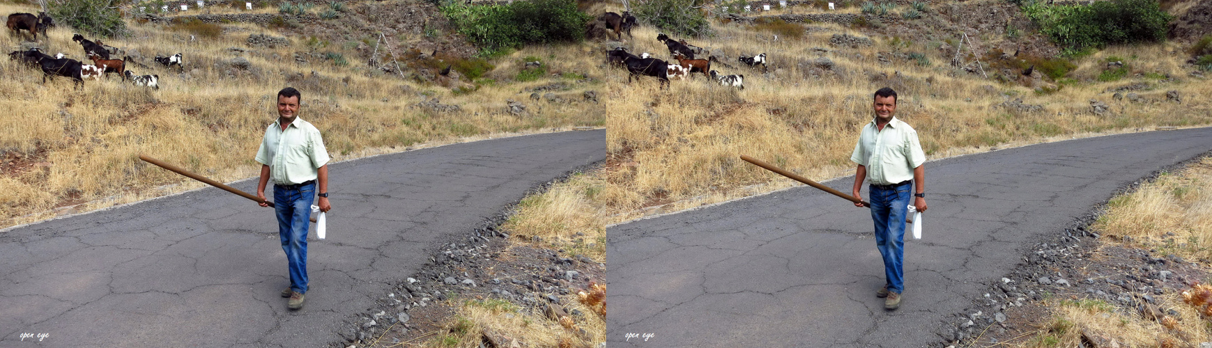 Hirtenstab genannt Garrote - La Gomera - 3D Kreuzblick