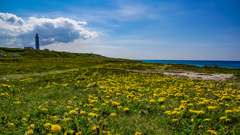 Hirtshals Dünen Dänemark