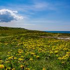 Hirtshals Dünen Dänemark