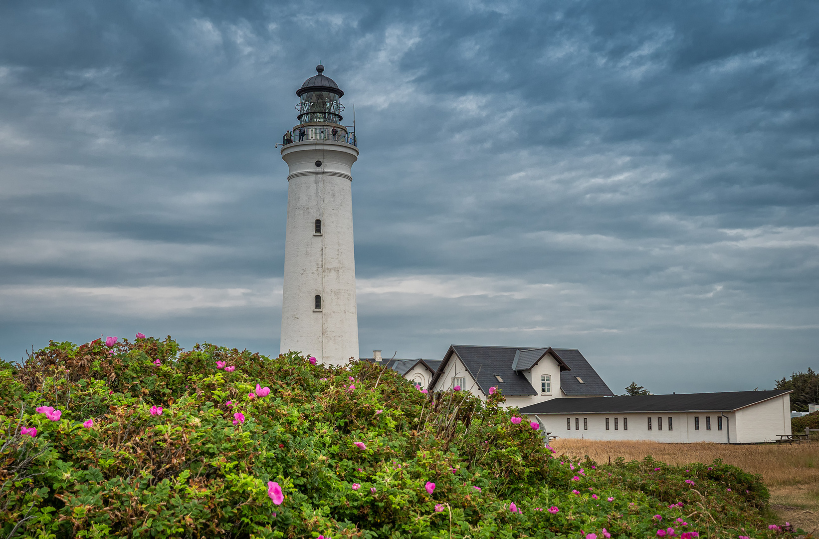 Hirtshals Fyr