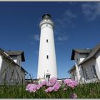 Hirtshals fyr mit Engelsk Græs