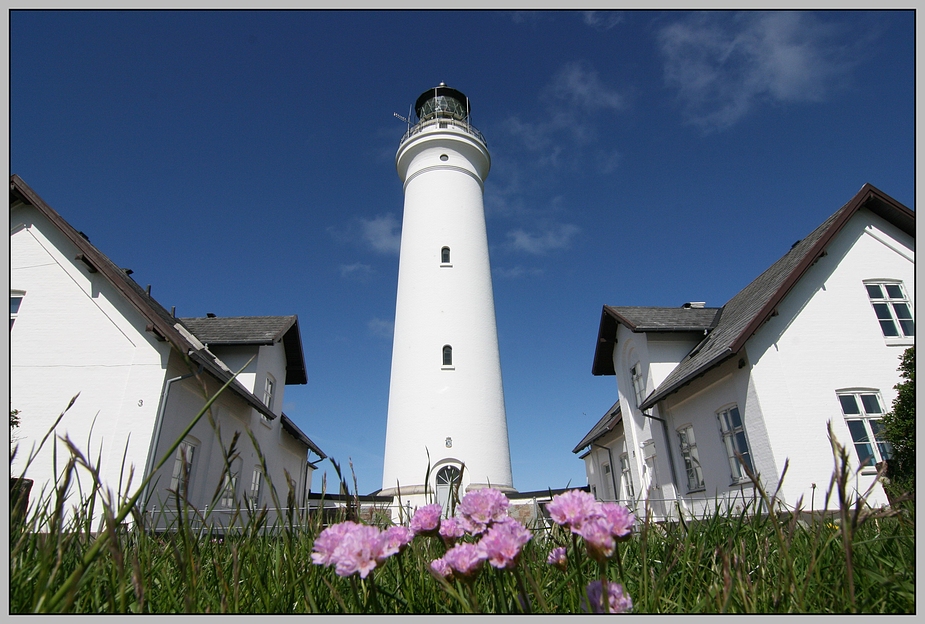 Hirtshals fyr mit Engelsk Græs