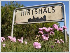 Hirtshals II