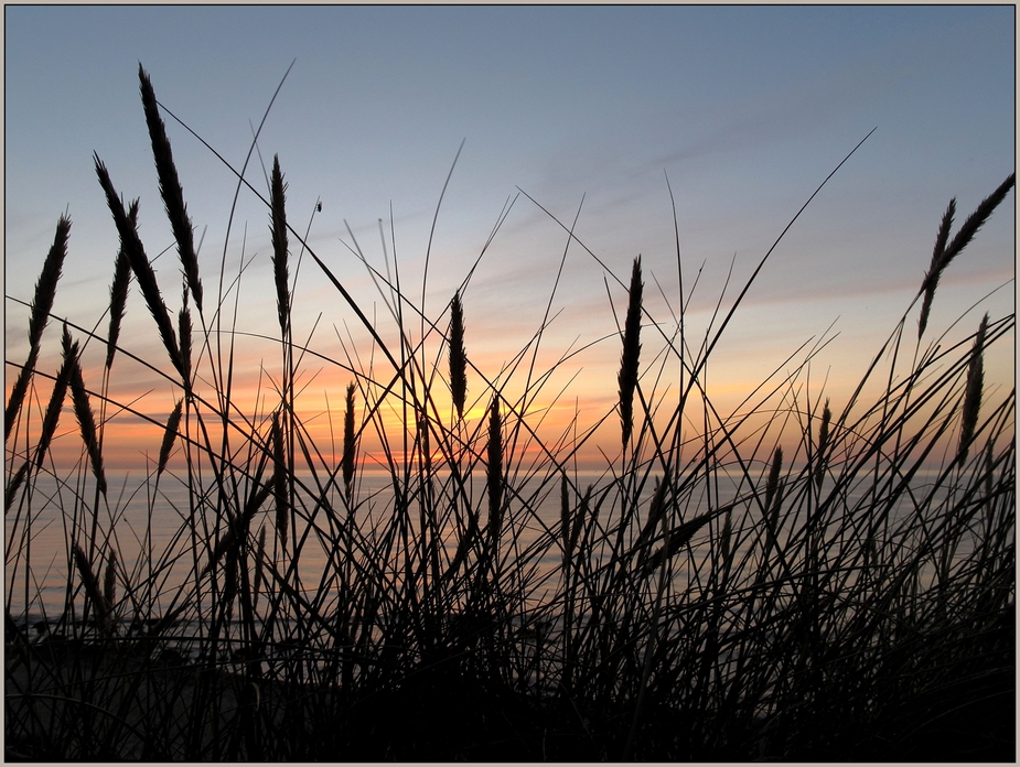 Hirtshals solnedgang V