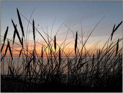 Hirtshals solnedgang V