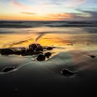 Hirtshals Strand