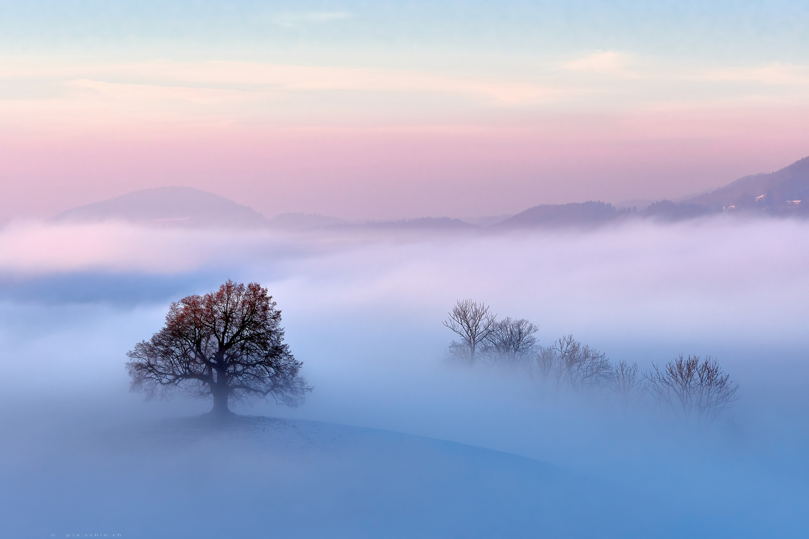 Hirzel, blaue Stunde von einem der vielen weichen Hügel mit Baum drauf