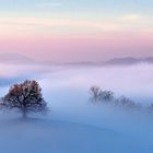 Hirzel, blaue Stunde von einem der vielen weichen Hügel mit Baum drauf