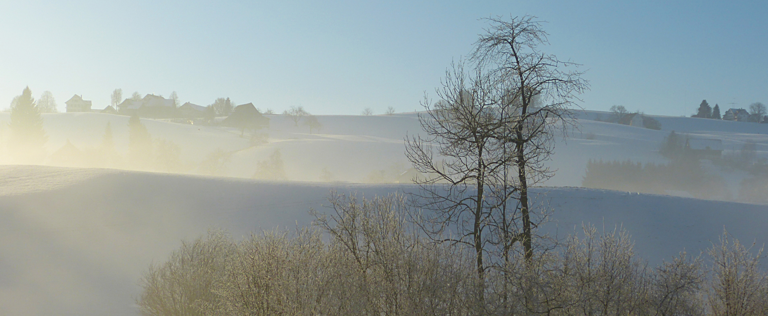 Hirzel im Winterlicht