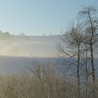 Hirzel im Winterlicht