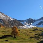 Hirzer-Bergregion / Südtirol