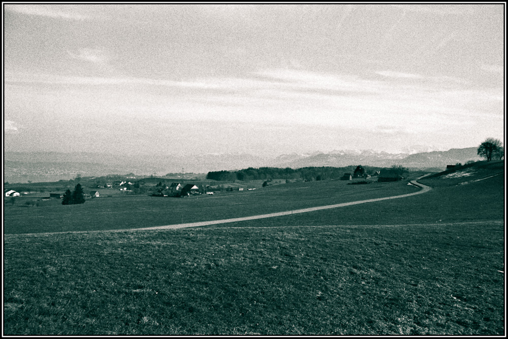 Hirzler Landschaft