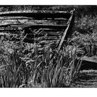 ... his boat again... bw ...