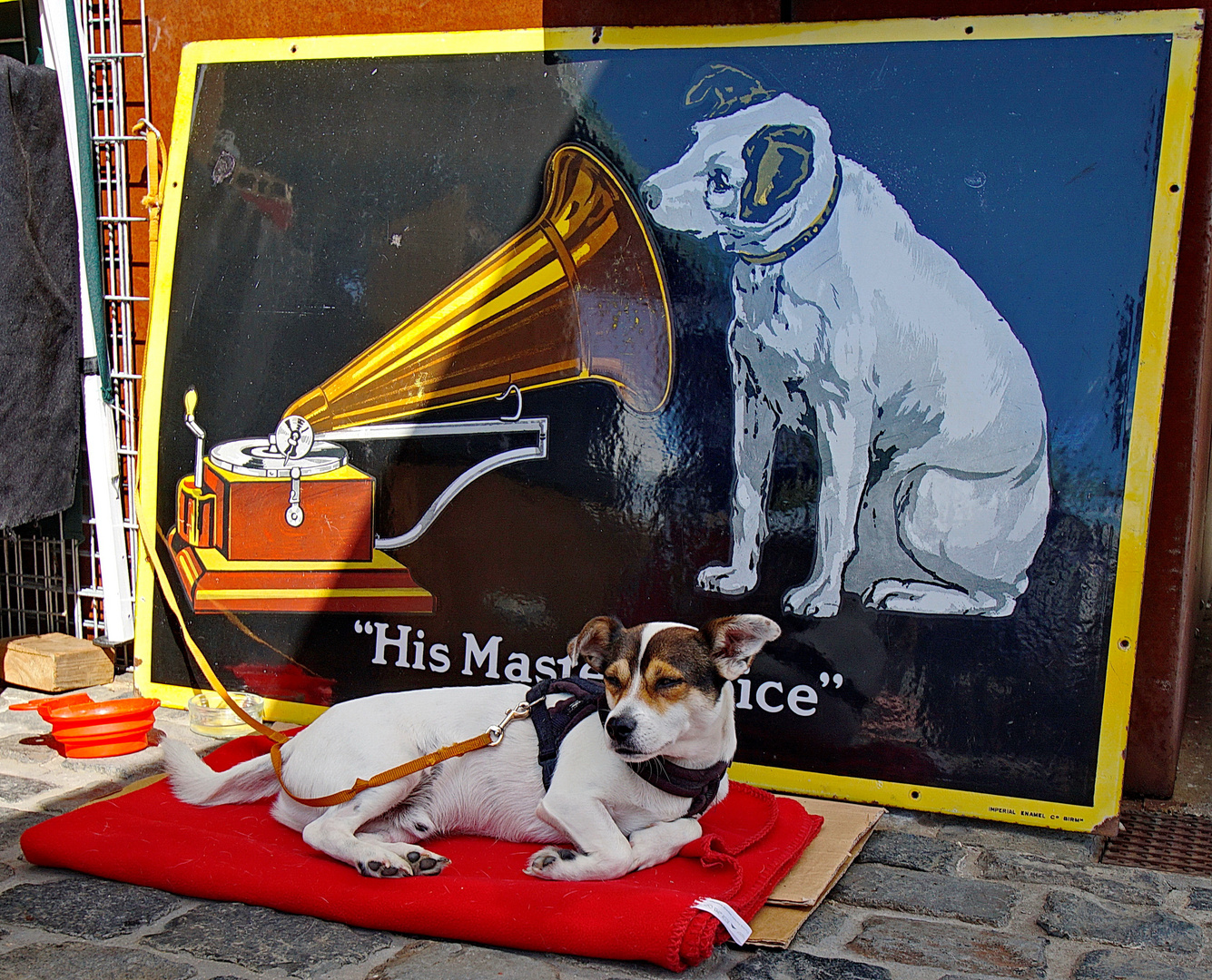 His Master’s Voice