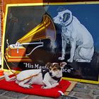 His Master’s Voice