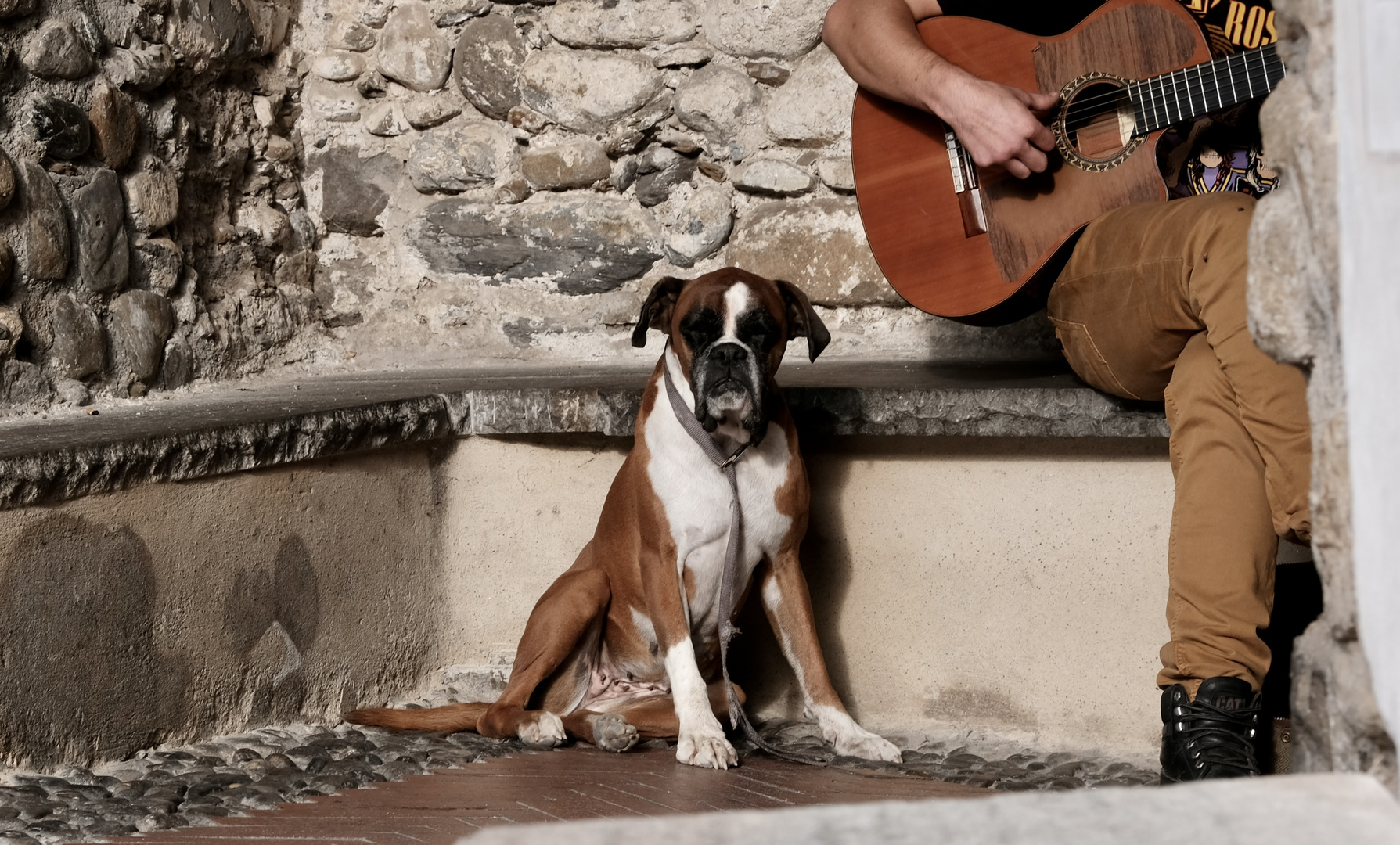 his Master's Voice - neu interpretiert 