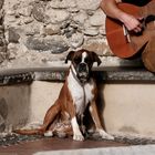 his Master's Voice - neu interpretiert 