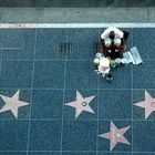 His walk of fame
