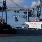 HISPANIC G / Bulk Carrier / Rotterdam