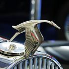 Hispano-Suiza Storch