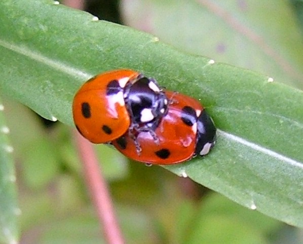 histoire naturelle