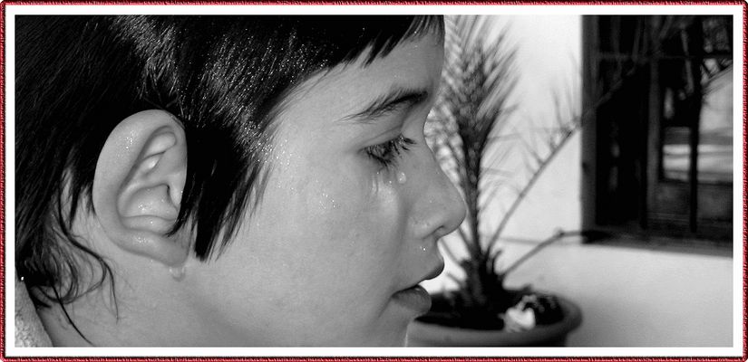 historia de una familia española*150