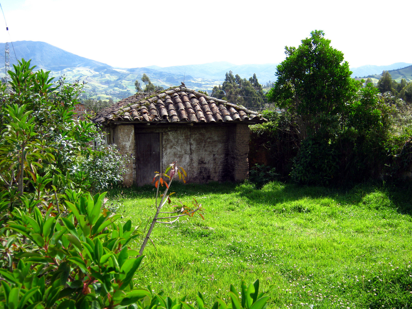 Historia Rural