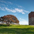 Historic Castle Hamerhus