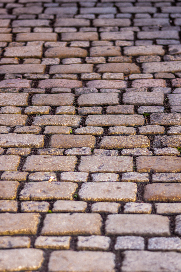 historic street stones - Dresden