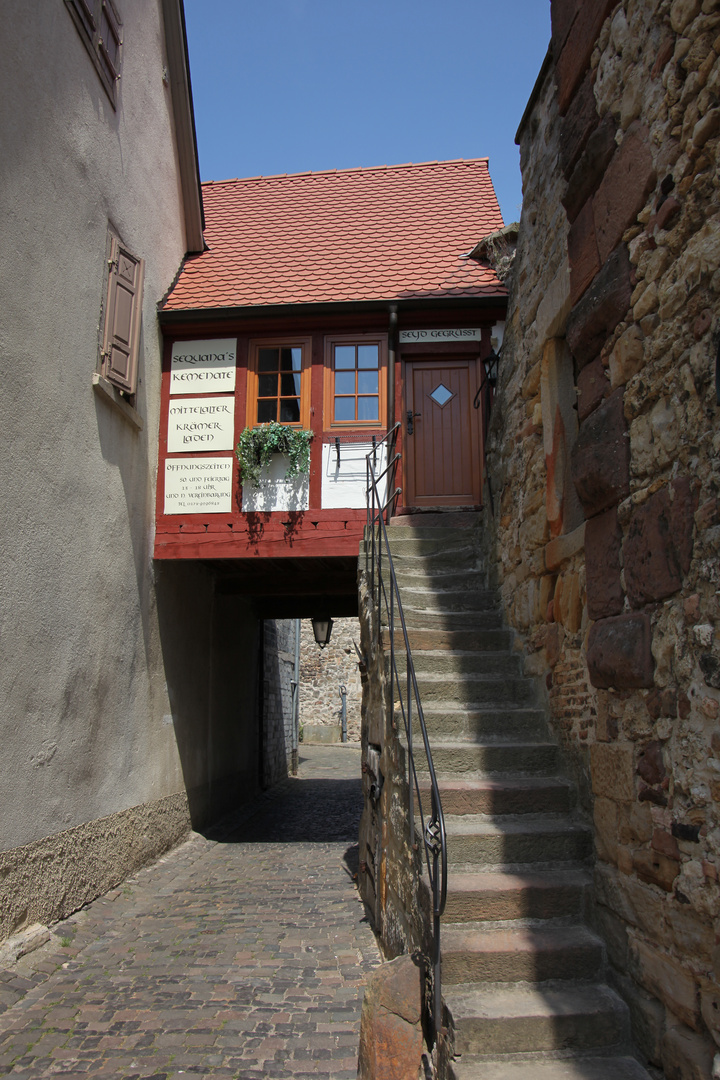 Historical House in Freinsheim - Germany