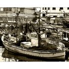 Historical port of Jaffa