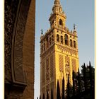 Historical Sevilla VI