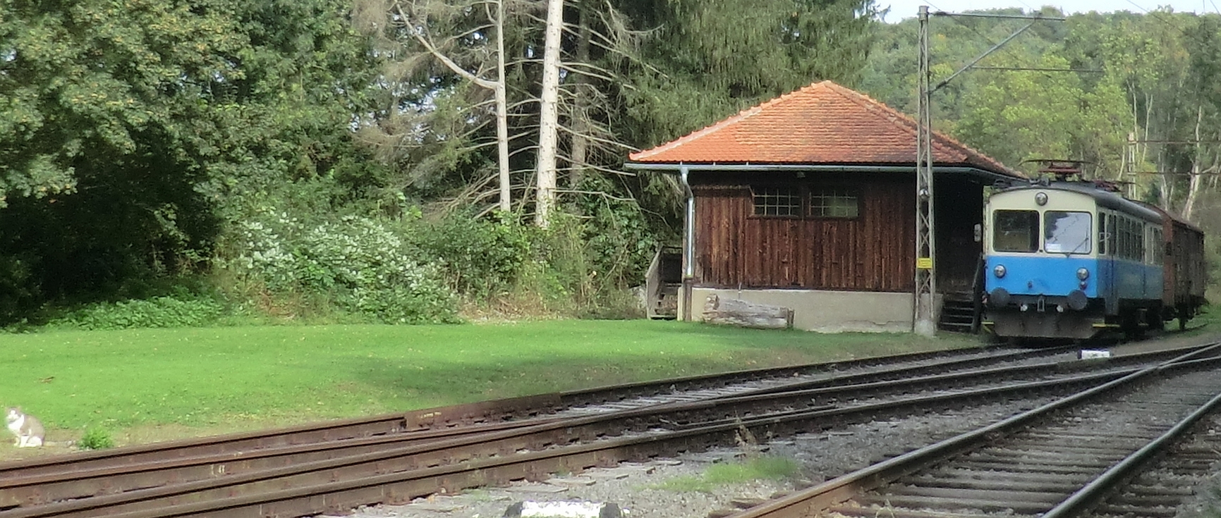 historisch Maierdorf Bahnhofskatze ....