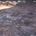 Historische Ausgrabung vom Archäologen in Spalt