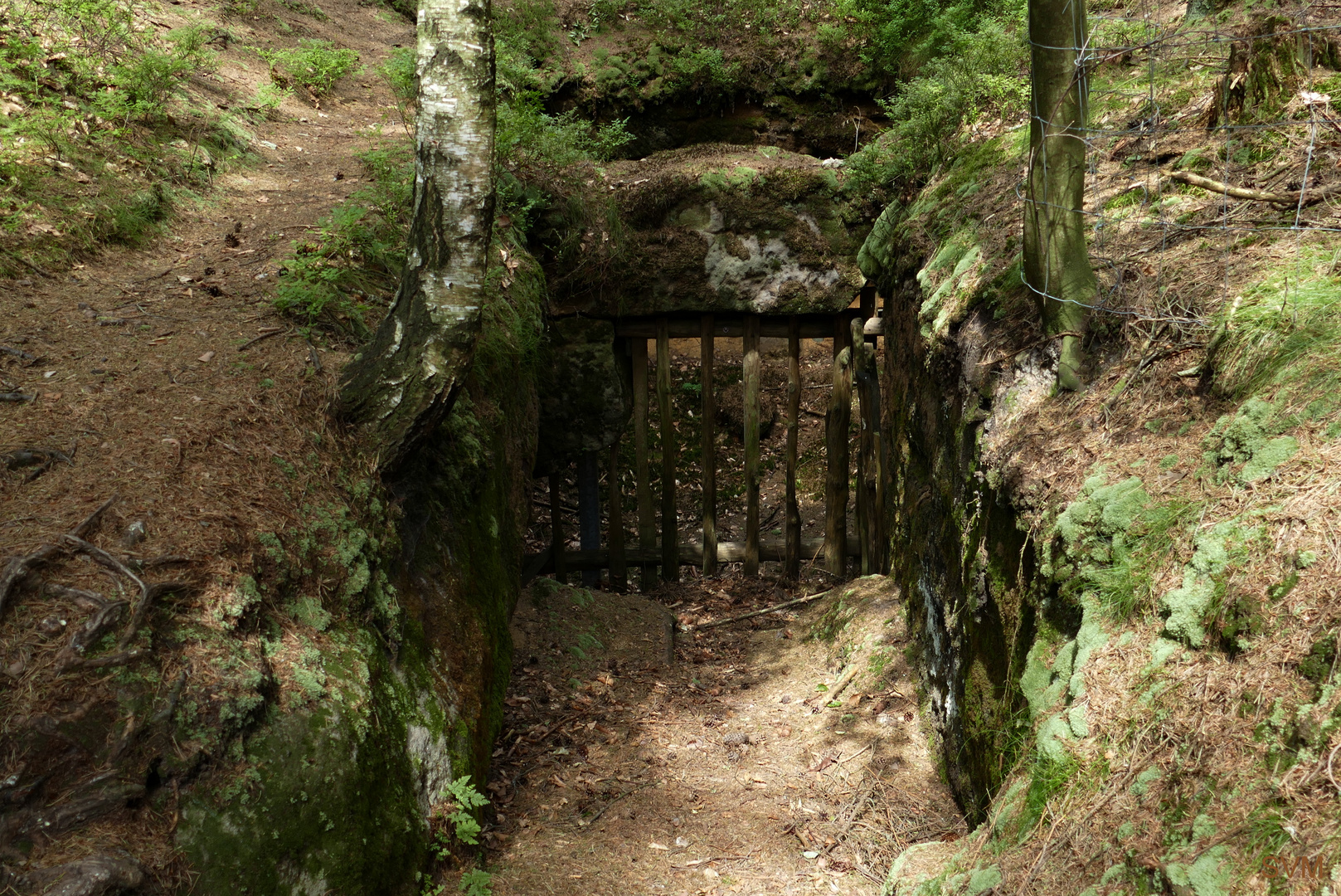 Historische Bärenfanganlage in der Sächsischen Schweiz