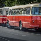 Historische Busse in Plzen 4