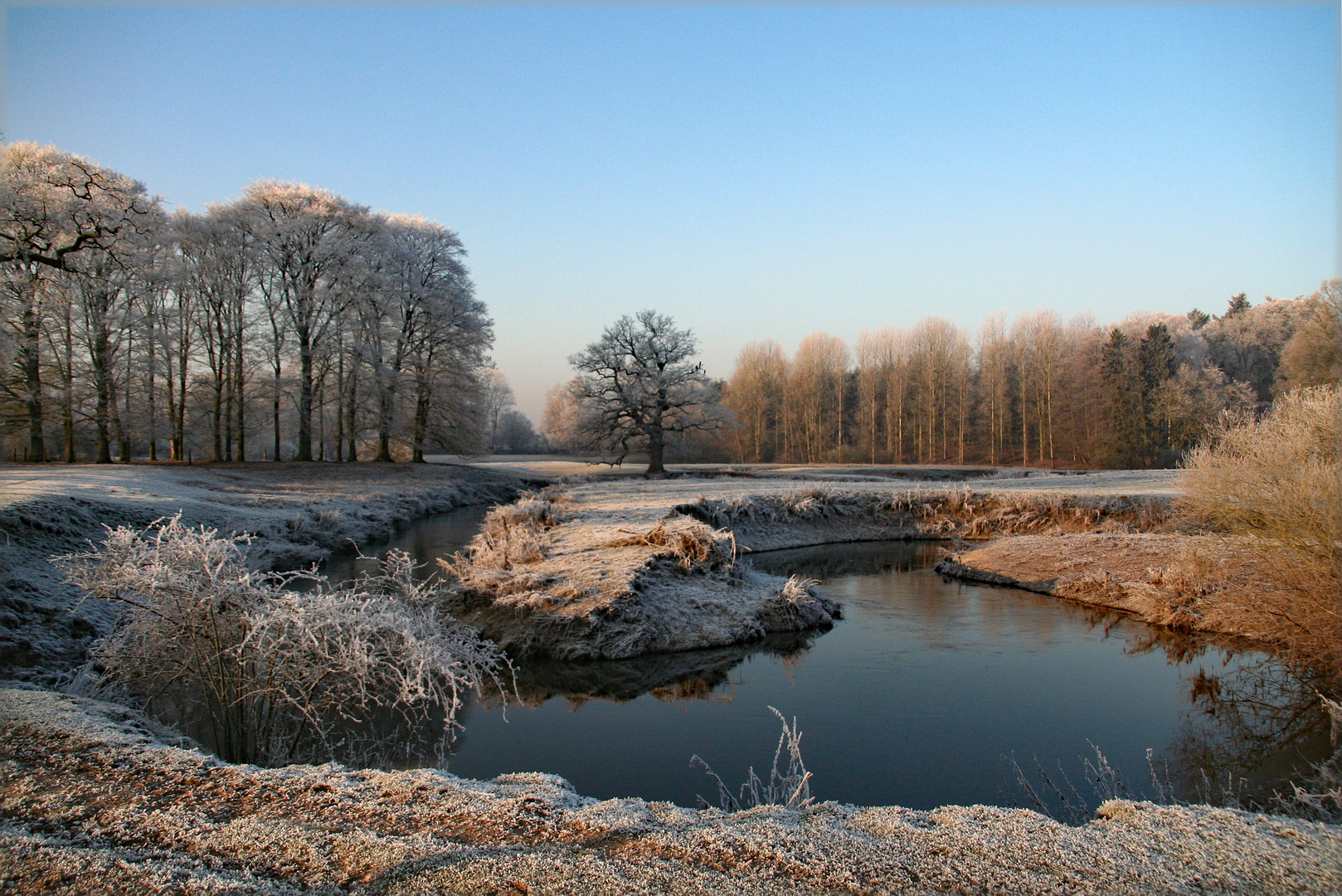 Historische Eiche