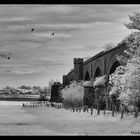 Historische Eisenbahnbrücke Wesel -6-