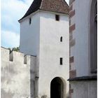 Historische Grenzsteine im Schutz der Arbogast Kirchenwehrmauser