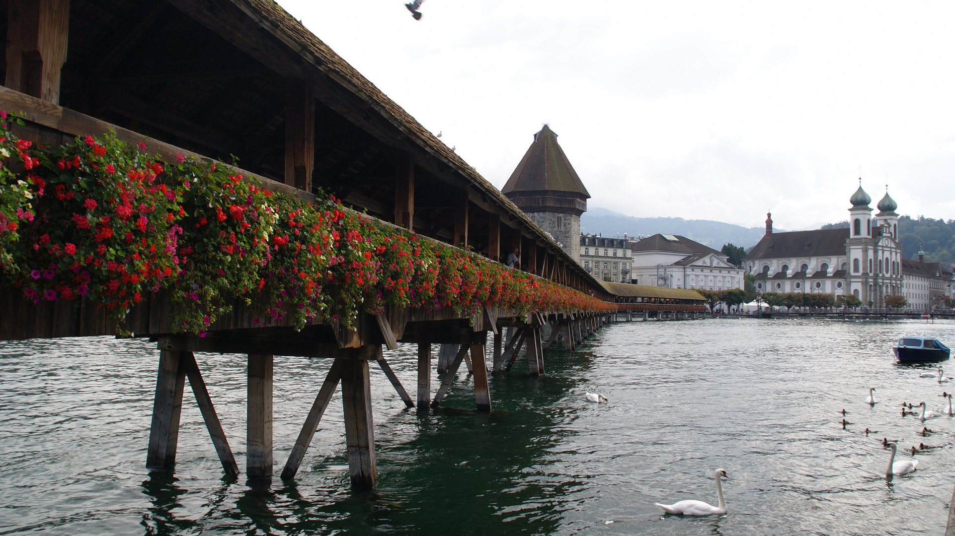 Historische Holzbrücke in Luzern