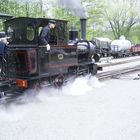 Historische Kleinbahn in Gripsholm