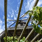 Historische Mühle im Park Sanssouci 