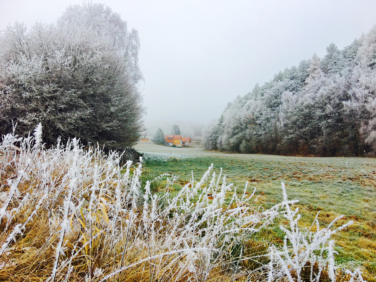 Historische Mühle im Winter