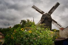 Historische Mühle Werder Altstadt