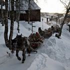 historische Pferdeschlittengruppe auf dem Weg zum Wintermarkt nach Röros