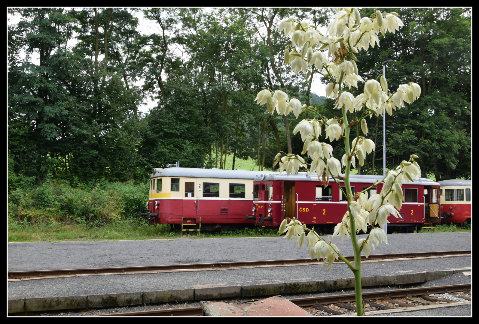 Historische Triebwagenfahrt -5